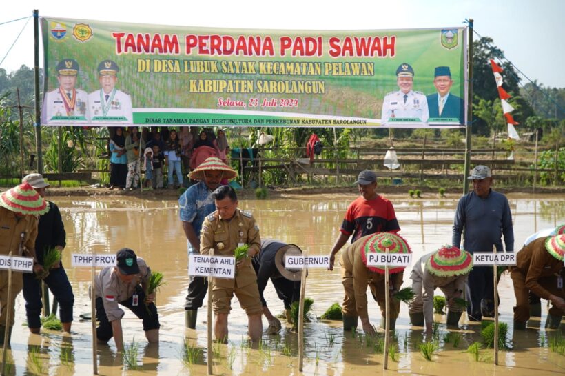 Gubernur Al Haris: Menanam Padi Aksi Nyata Perkuat Ketahanan Pangan
